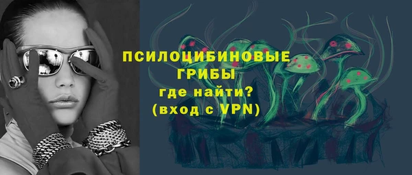 твердый Горняк