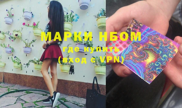 твердый Горняк