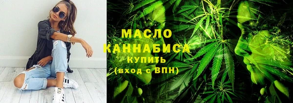 твердый Горняк