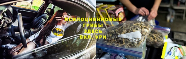 твердый Горняк