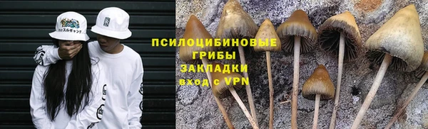 хмурый Горнозаводск
