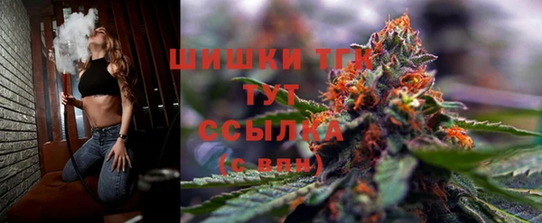 твердый Горняк